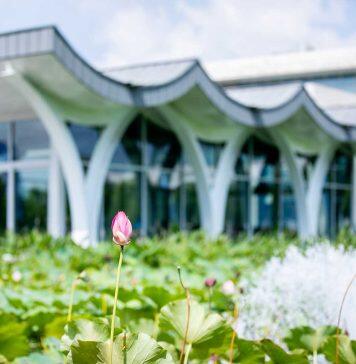 昆山杜克大学公布2025年暑期研究资助计划项目名单