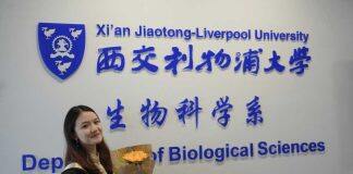 硕博故事|直博学姐龚子洋:本科生如何从零叩开科研之门?