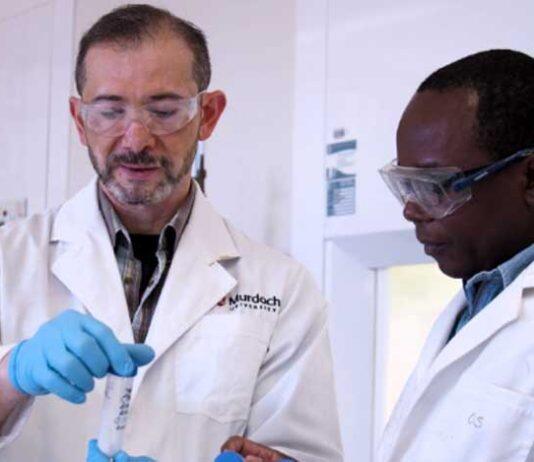 澳大利亚莫道克大学新建萃取冶金中心引领清洁能源未来