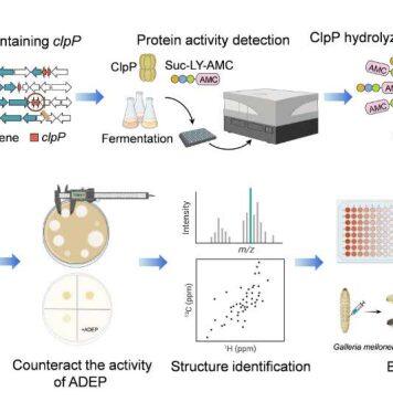 南京大学张帆团队在新型抗毒力药物研究领域取得新进展