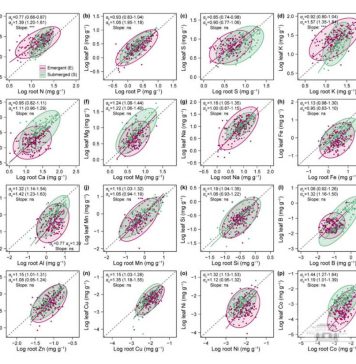 梁子湖国家站在湿地水生植物生态研究取得新进展
