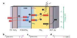 侯绍聪团队在自旋光电子器件中高效自旋注入领域取得新进展