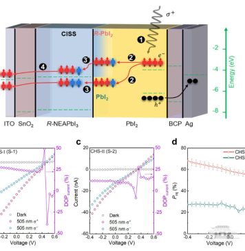 侯绍聪团队在自旋光电子器件中高效自旋注入领域取得新进展