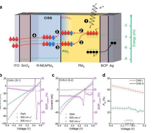 侯绍聪团队在自旋光电子器件中高效自旋注入领域取得新进展