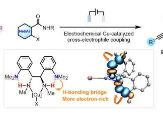 陈才友团队开发电化学铜催化C(sp3)-C(sp2)亲电交叉偶联反应